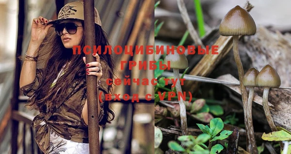 первитин Кодинск