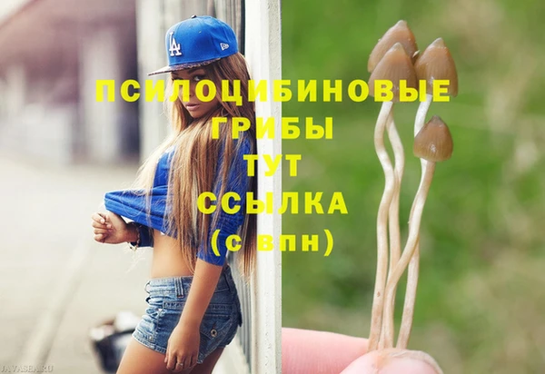 меф Козельск