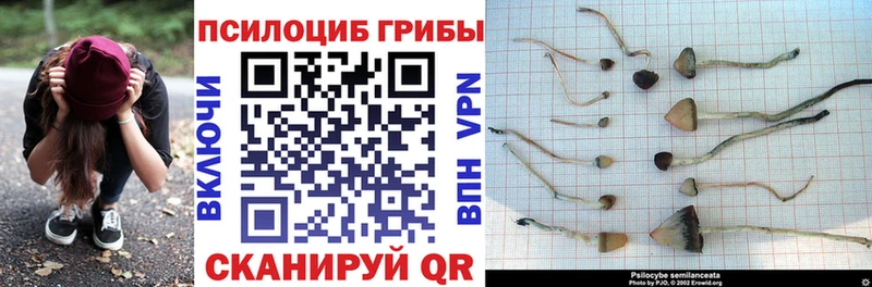 Псилоцибиновые грибы мухоморы  маркетплейс телеграм  Медвежьегорск 